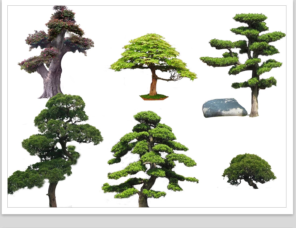 图片[17]-PS景观造型植物灌木球造型树迎客罗汉松桩景效果图png棒棒糖素材-大怪兽分享