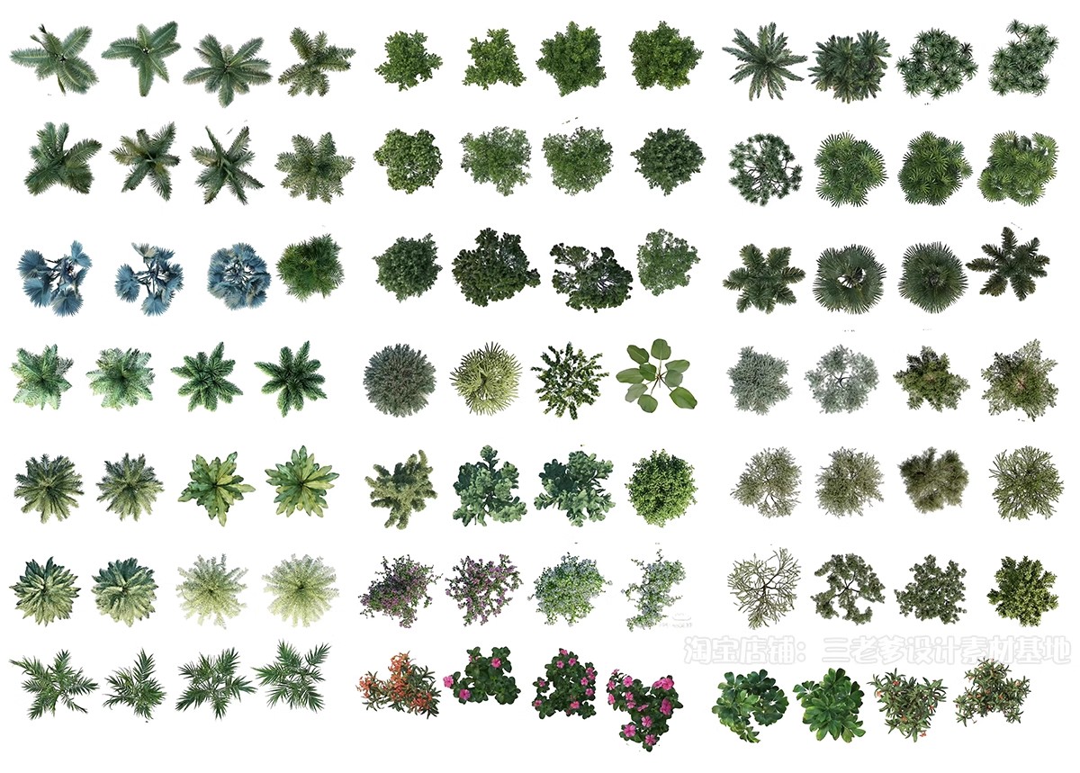 图片[18]-耐阴植物psd免扣园林景观蕨类苔藓矾根苔藓花镜地被ps素材效果图-大怪兽分享