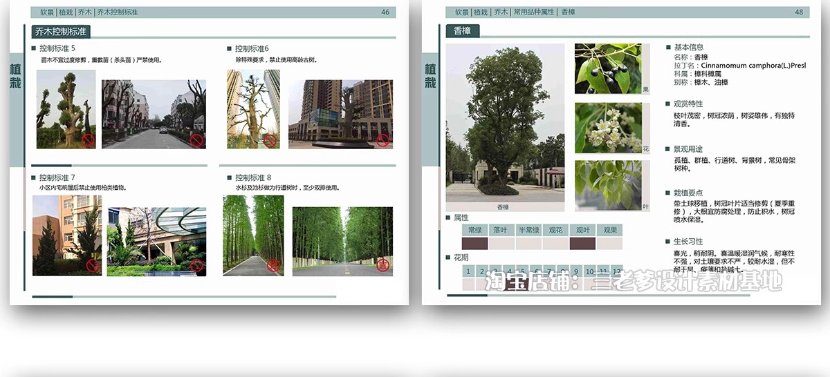 图片[18]-园林景观施工工艺做法图集参考道路广场铺装水景排水硬质植物种植-大怪兽分享