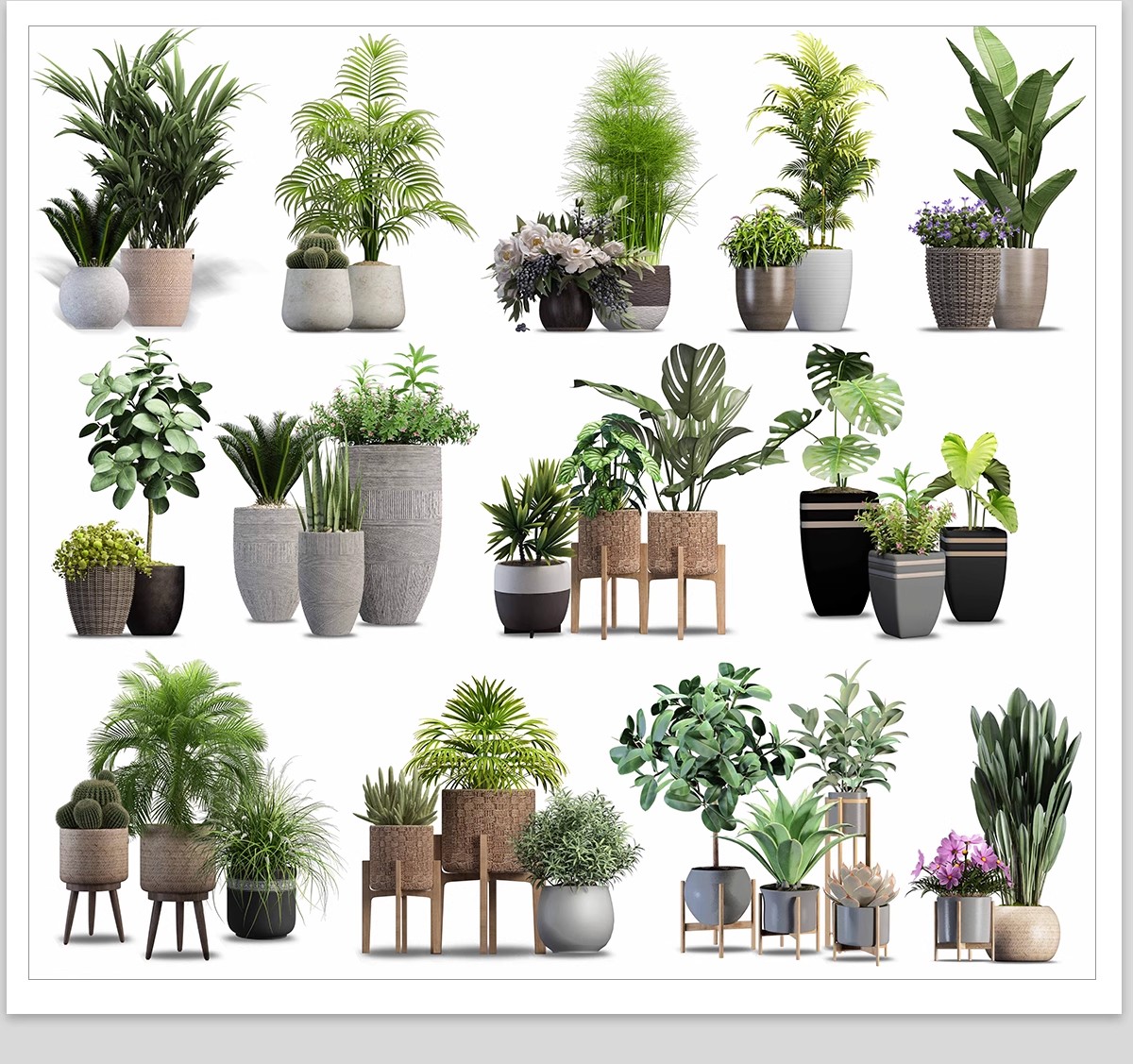 图片[18]-室内盆栽绿植花盆植物组合ps素材 现代简约客厅摆件免抠psd免抠图-大怪兽分享