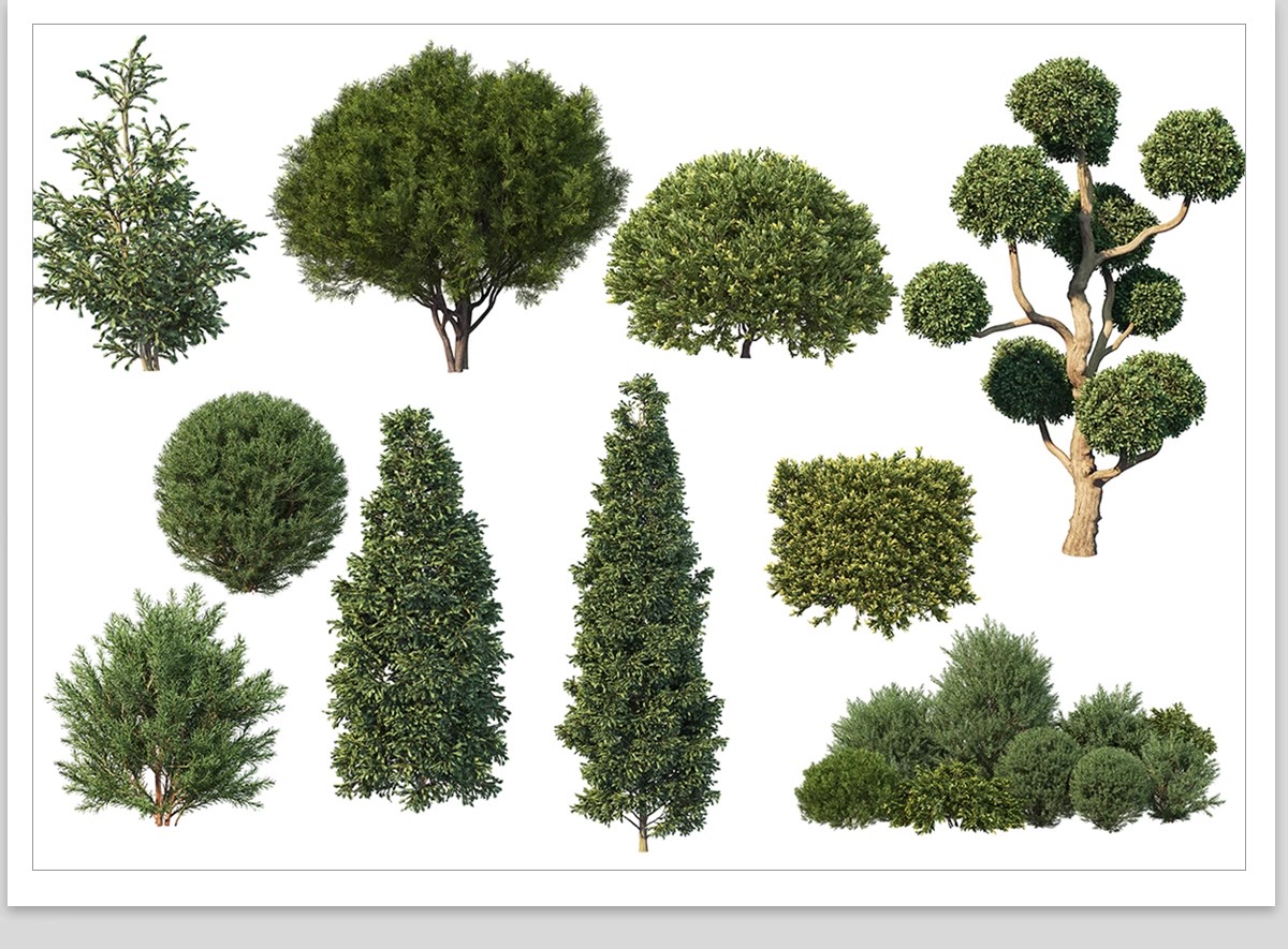图片[18]-PS景观造型植物灌木球造型树迎客罗汉松桩景效果图png棒棒糖素材-大怪兽分享