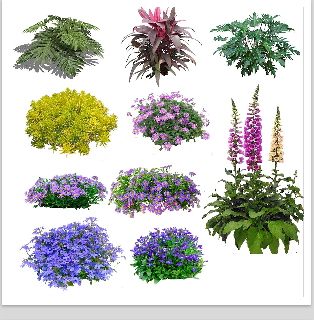 图片[18]-庭院植物灌木地被psd素材 花园玉簪矾根百子莲南天竹蕨苔草ps免扣-大怪兽分享