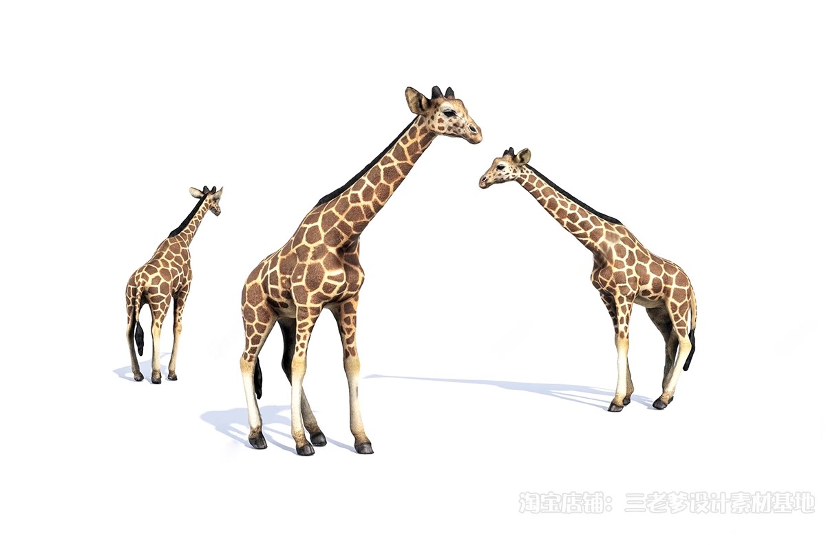 图片[18]-动物3D模型 现代小猫小狗宠物单体金毛大狗鹅袋鼠沙皮3Dmax素材库-大怪兽分享
