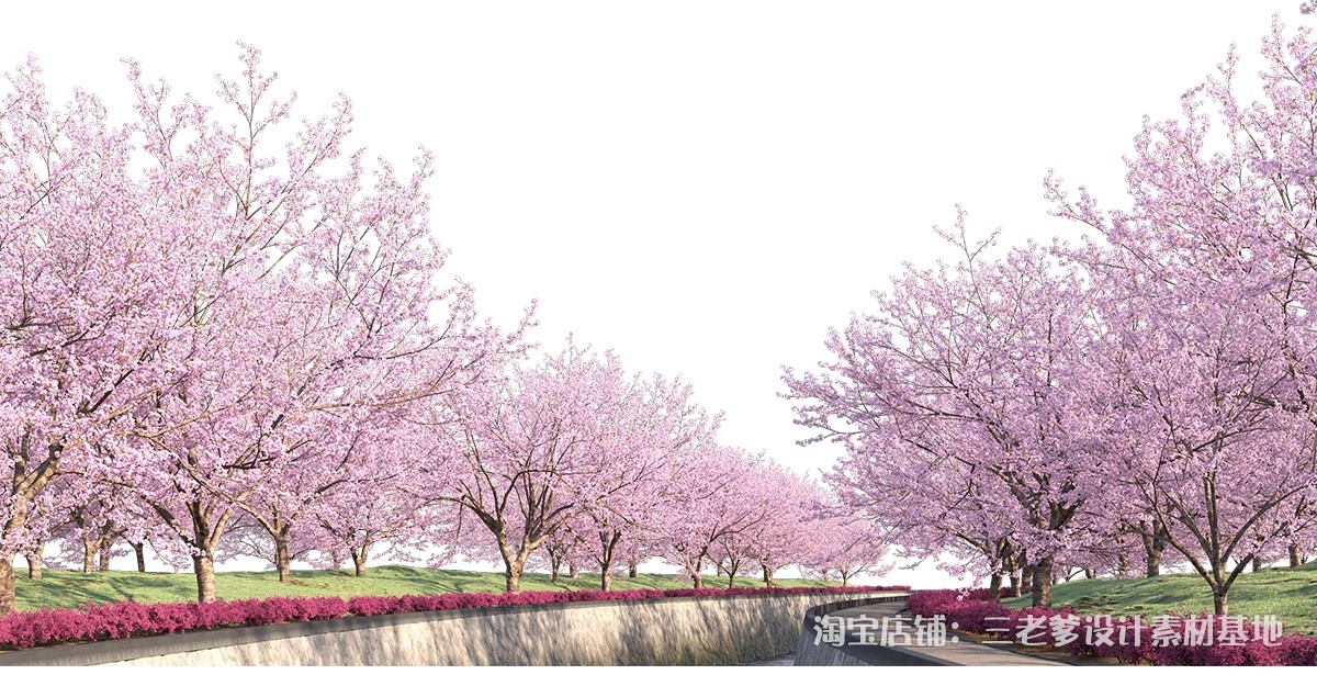 图片[18]-樱花树梅花树PS免抠 景观园林梅花桃花花瓣街道植物PSD效果图素材-大怪兽分享