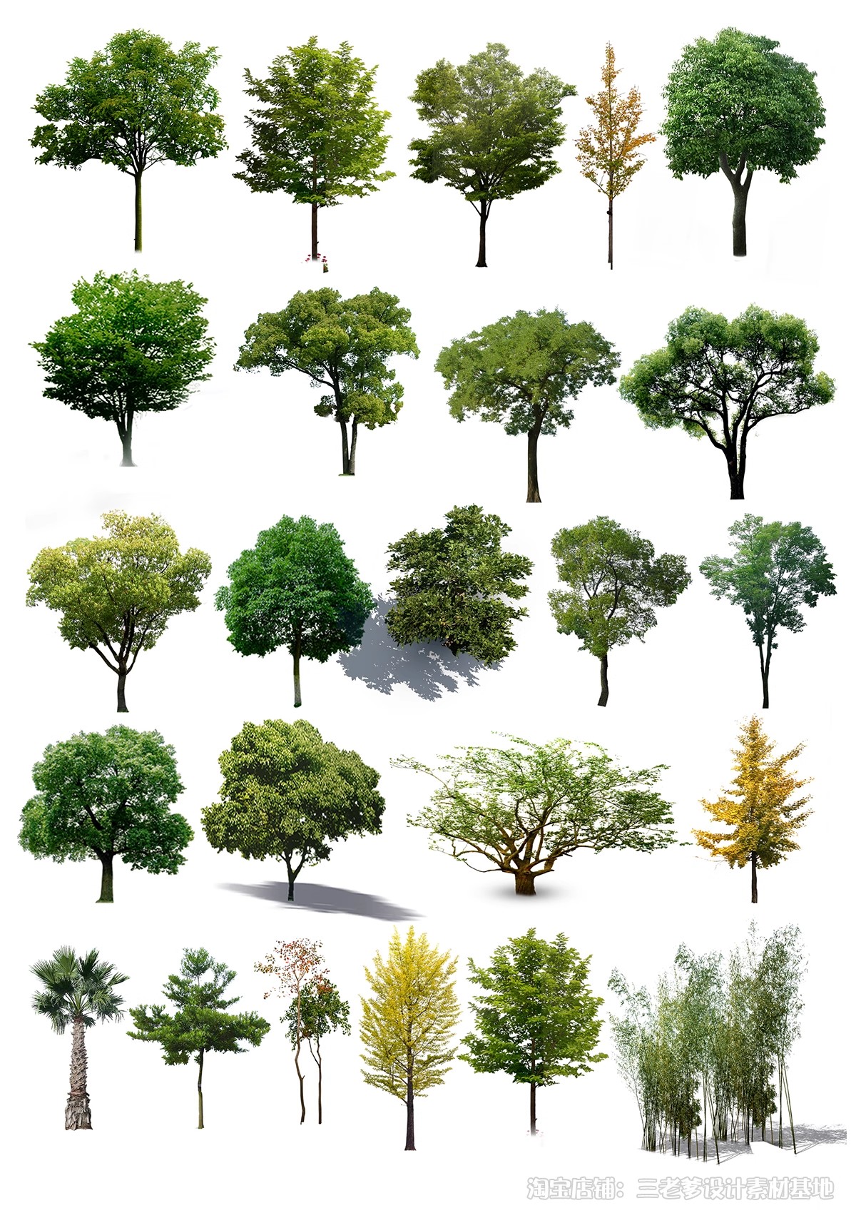 图片[19]-高清植物PS贴图真实乔木竞赛秋季植物PNG免扣园林景观植物素材-大怪兽分享