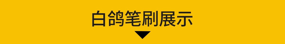 图片[19]-各种鸟类ps素材动物鸟群飞鸟鸽子白鹭飞行姿态效果图PSD免抠笔刷-大怪兽分享