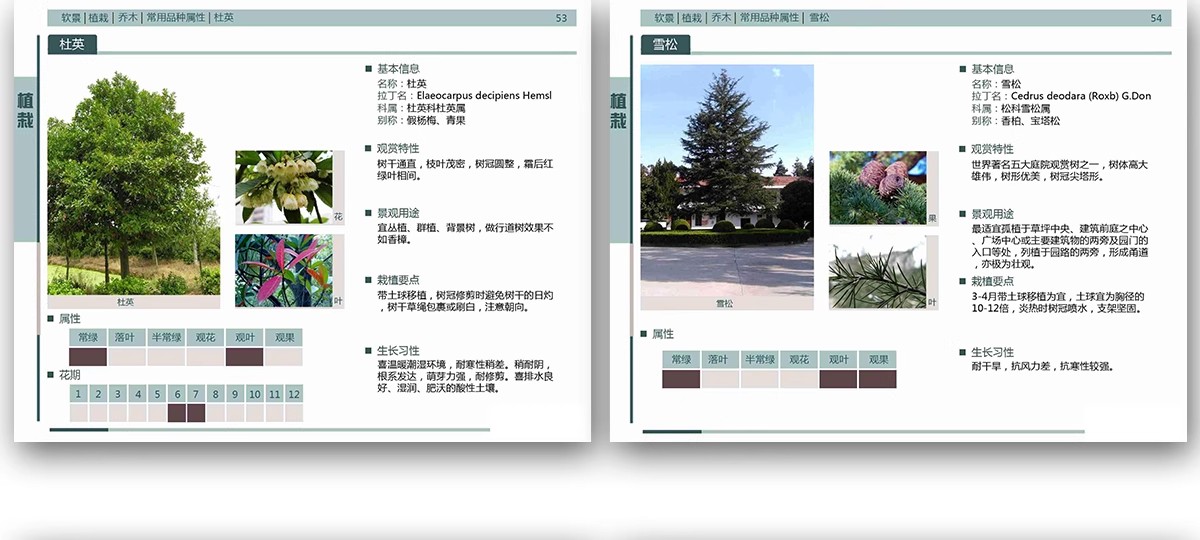 图片[19]-园林景观施工工艺做法图集参考道路广场铺装水景排水硬质植物种植-大怪兽分享