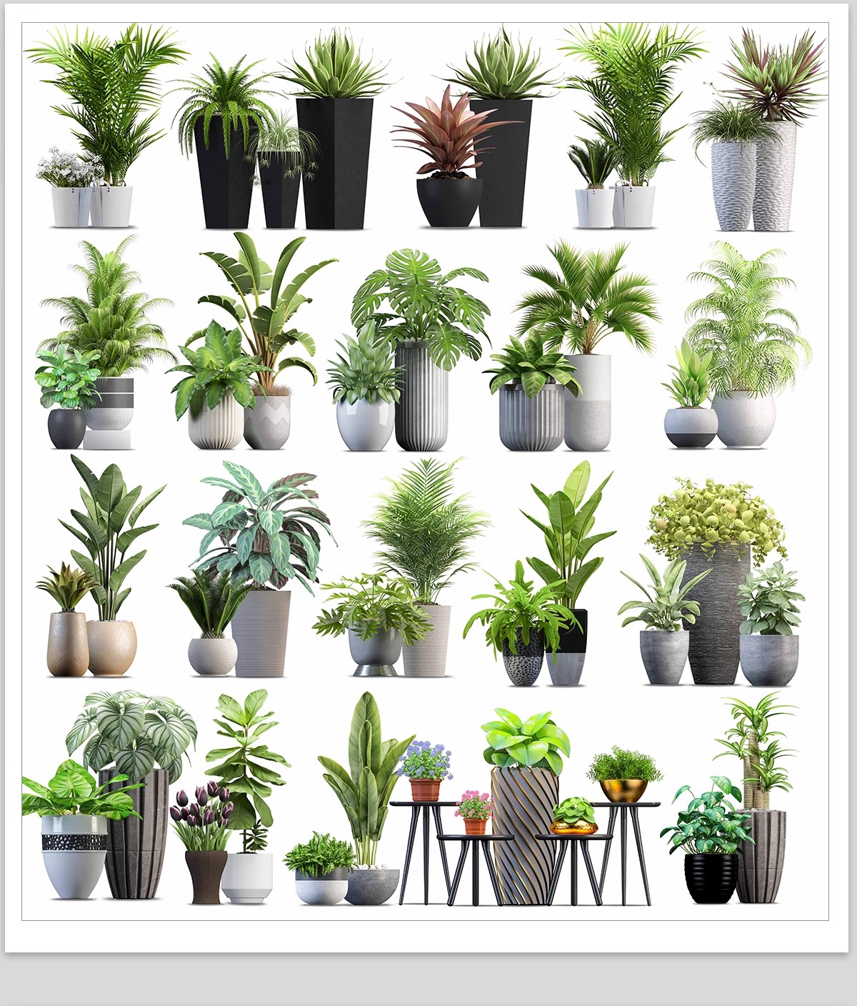 图片[19]-室内盆栽绿植花盆植物组合ps素材 现代简约客厅摆件免抠psd免抠图-大怪兽分享