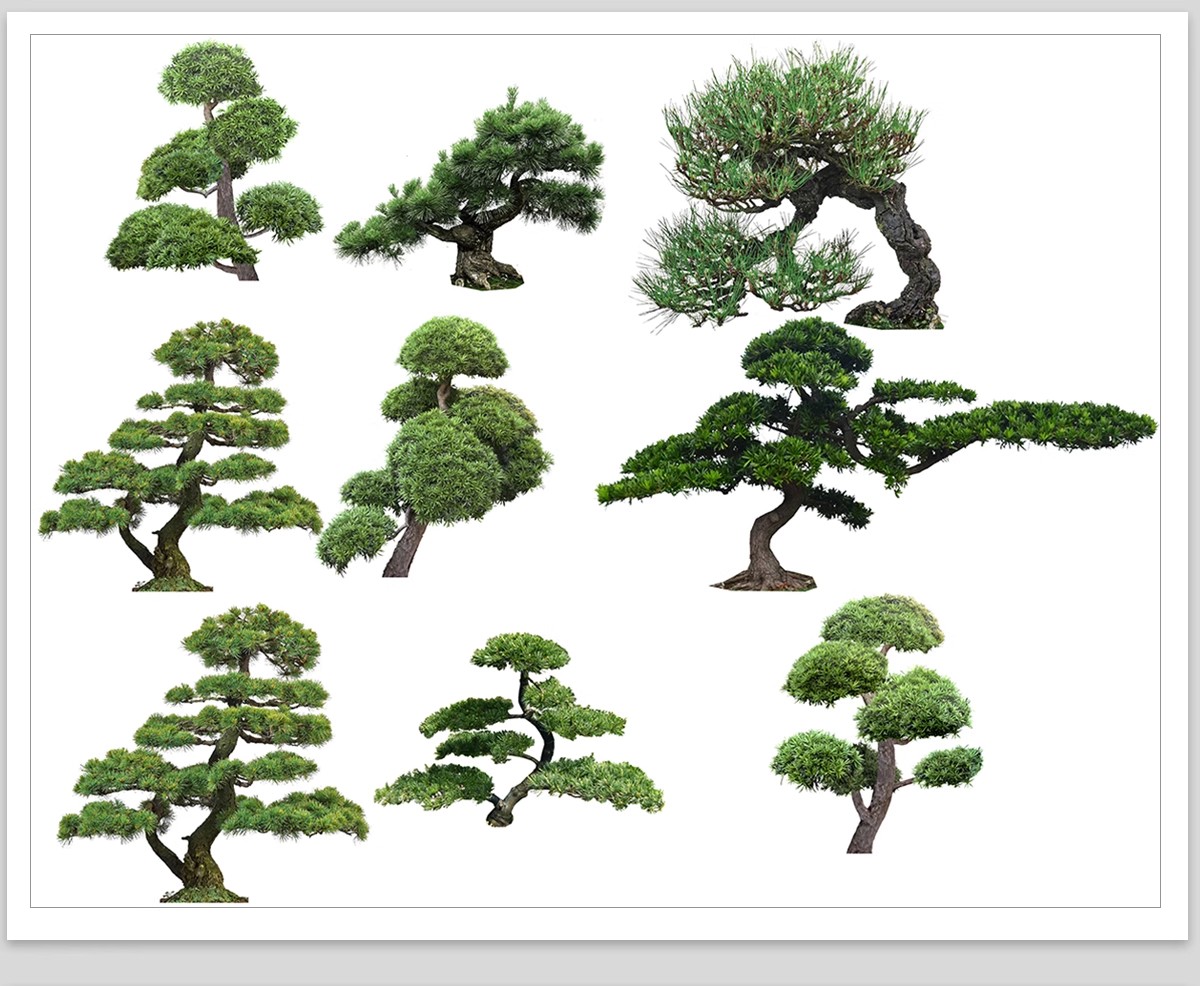 图片[19]-PS景观造型植物灌木球造型树迎客罗汉松桩景效果图png棒棒糖素材-大怪兽分享