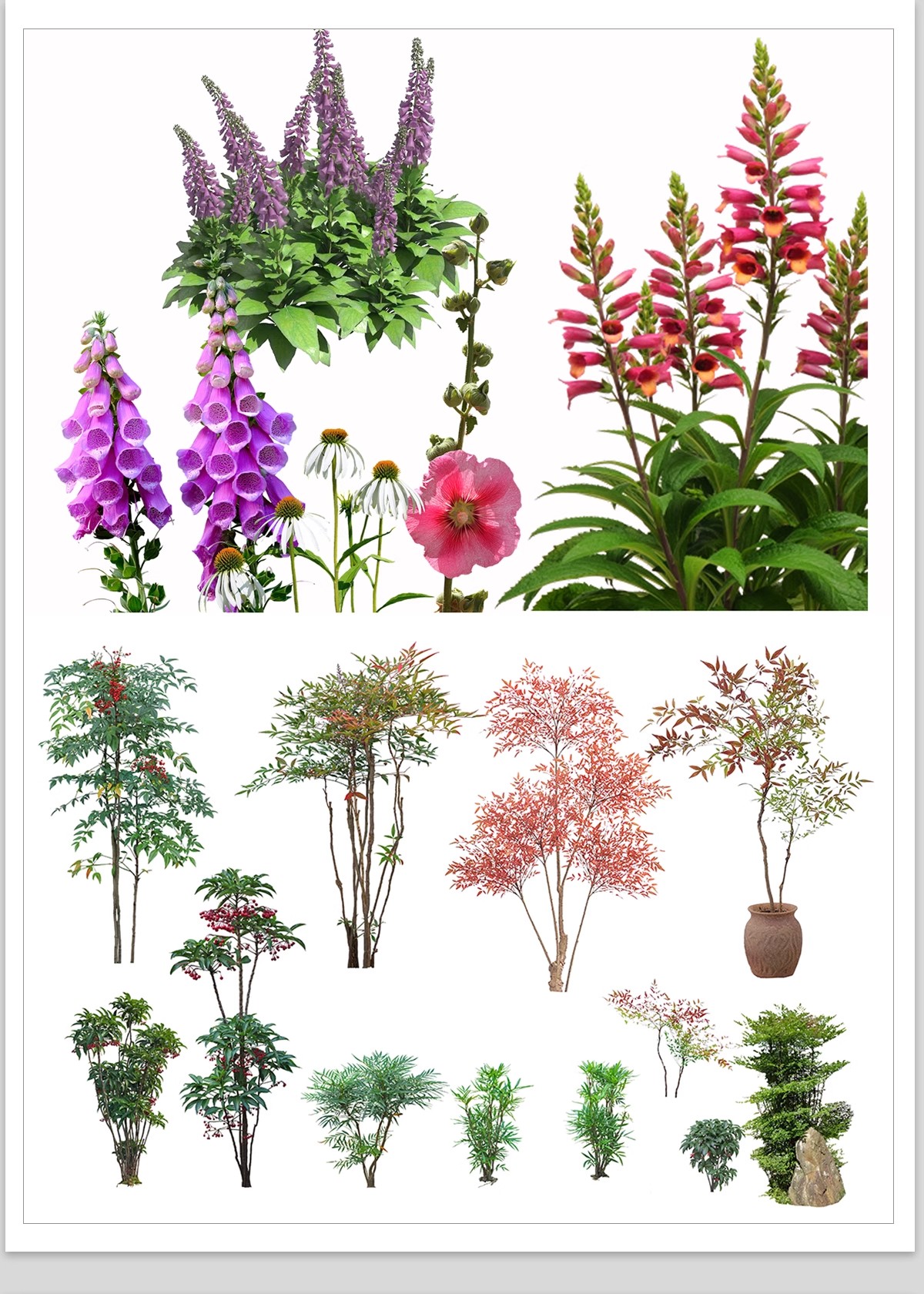 图片[19]-庭院植物灌木地被psd素材 花园玉簪矾根百子莲南天竹蕨苔草ps免扣-大怪兽分享