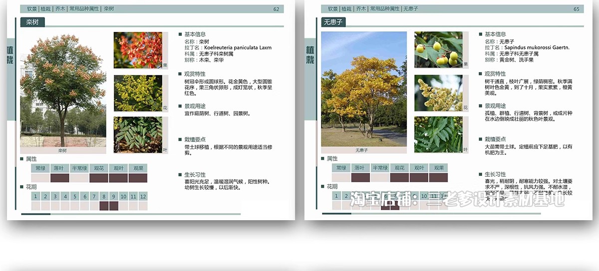 图片[20]-园林景观施工工艺做法图集参考道路广场铺装水景排水硬质植物种植-大怪兽分享