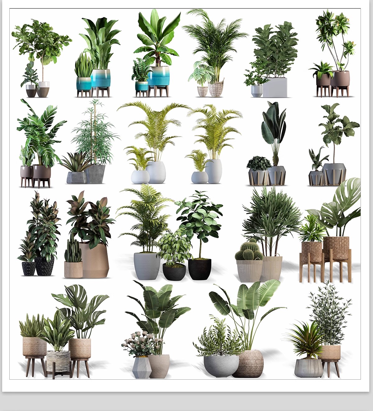 图片[20]-室内盆栽绿植花盆植物组合ps素材 现代简约客厅摆件免抠psd免抠图-大怪兽分享