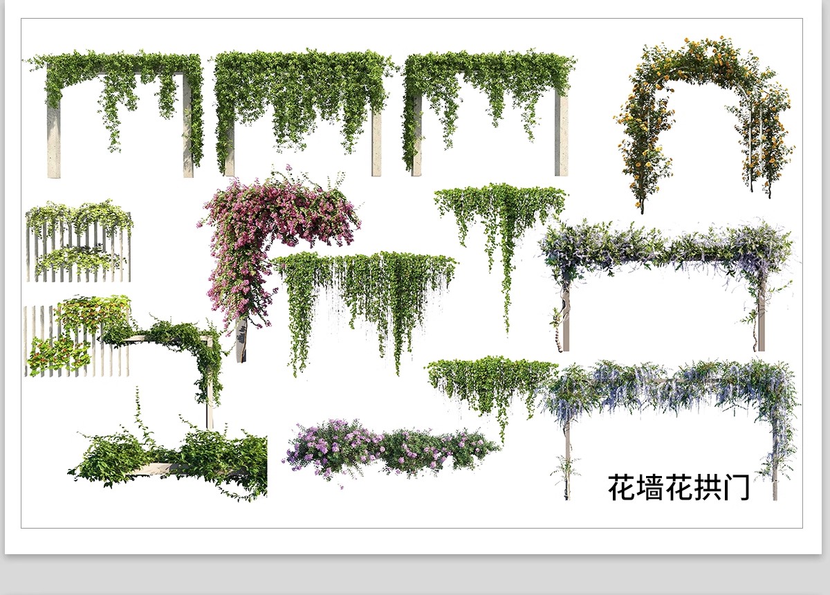 图片[20]-藤蔓爬藤植物爬墙攀援垂钓围墙月季花PS素材蔷薇廊架藤本免抠PSD-大怪兽分享