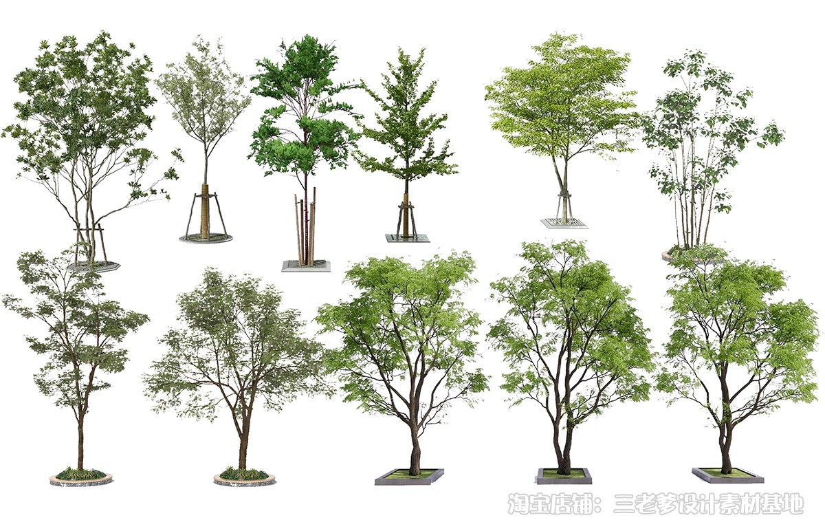 图片[21]-高清植物PS贴图真实乔木竞赛秋季植物PNG免扣园林景观植物素材-大怪兽分享