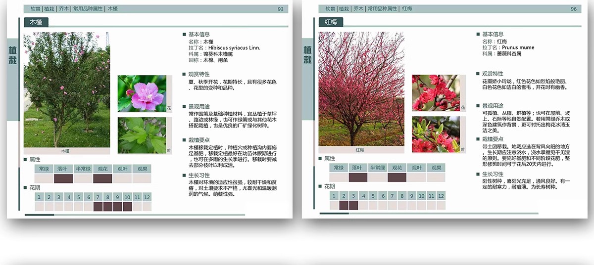 图片[21]-园林景观施工工艺做法图集参考道路广场铺装水景排水硬质植物种植-大怪兽分享