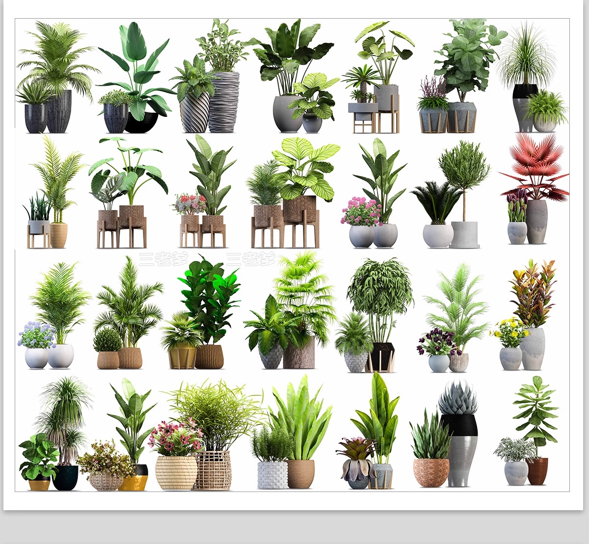 图片[21]-室内盆栽绿植花盆植物组合ps素材 现代简约客厅摆件免抠psd免抠图-大怪兽分享