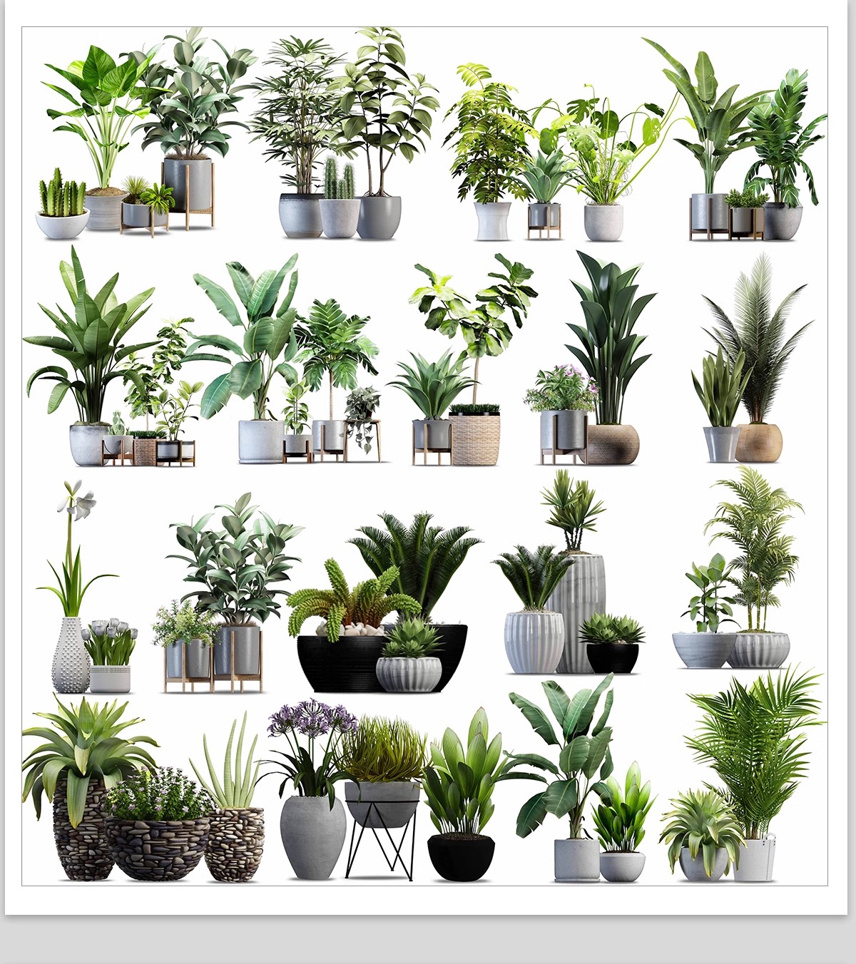 图片[22]-室内盆栽绿植花盆植物组合ps素材 现代简约客厅摆件免抠psd免抠图-大怪兽分享