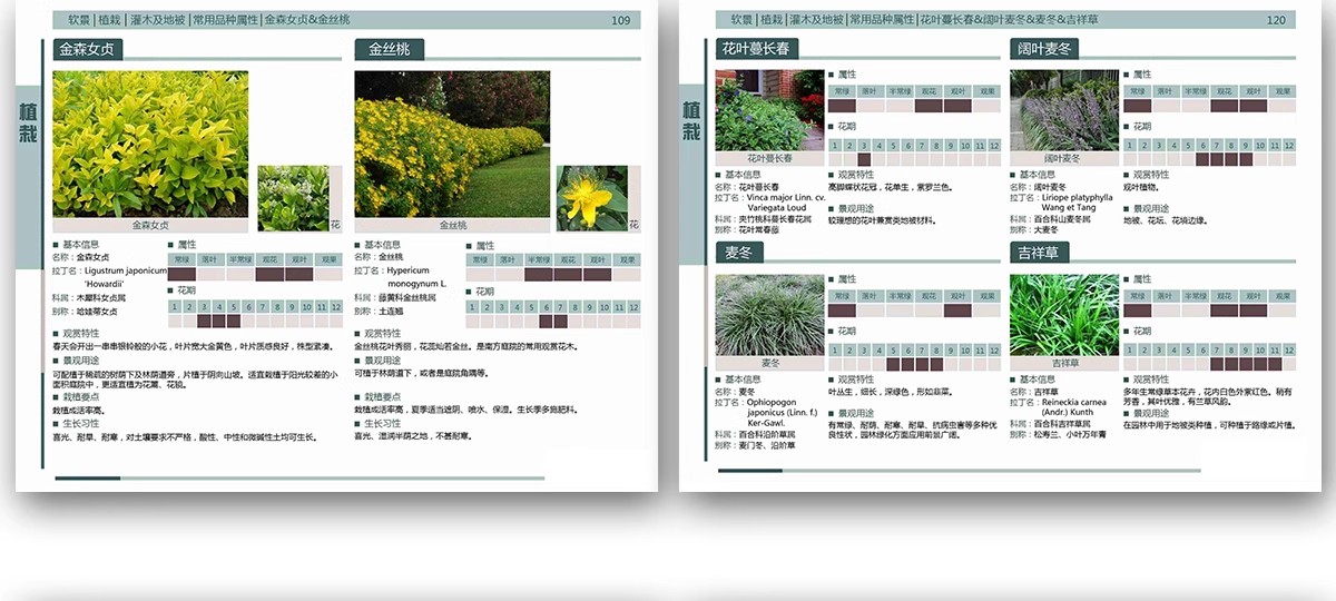 图片[23]-园林景观施工工艺做法图集参考道路广场铺装水景排水硬质植物种植-大怪兽分享