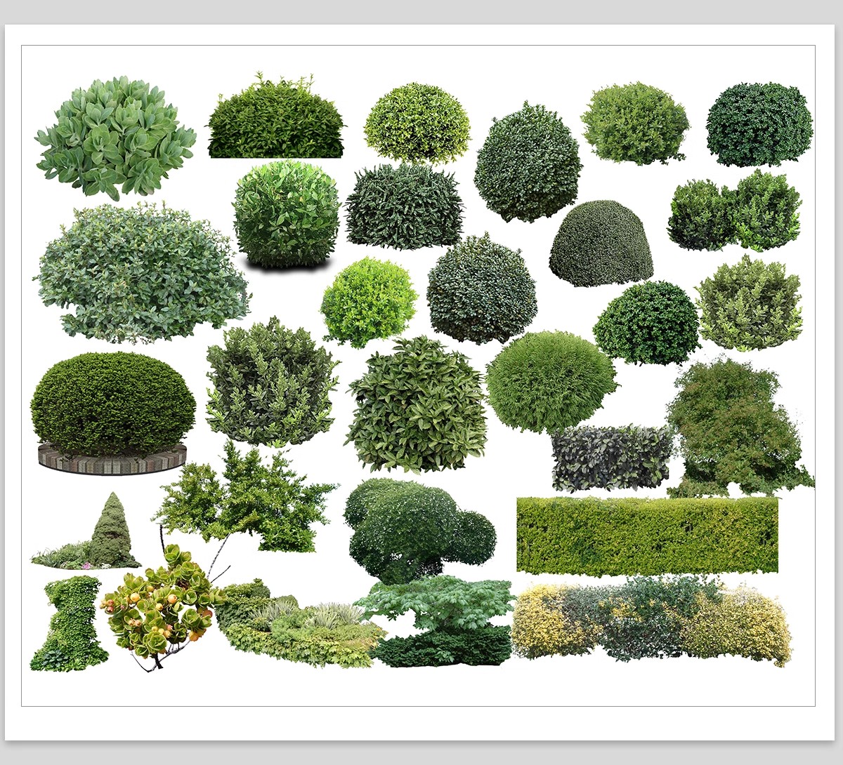 图片[23]-园林景观灌木球ps素材psd免抠效果图球形植物红檵木黄杨女贞石楠-大怪兽分享
