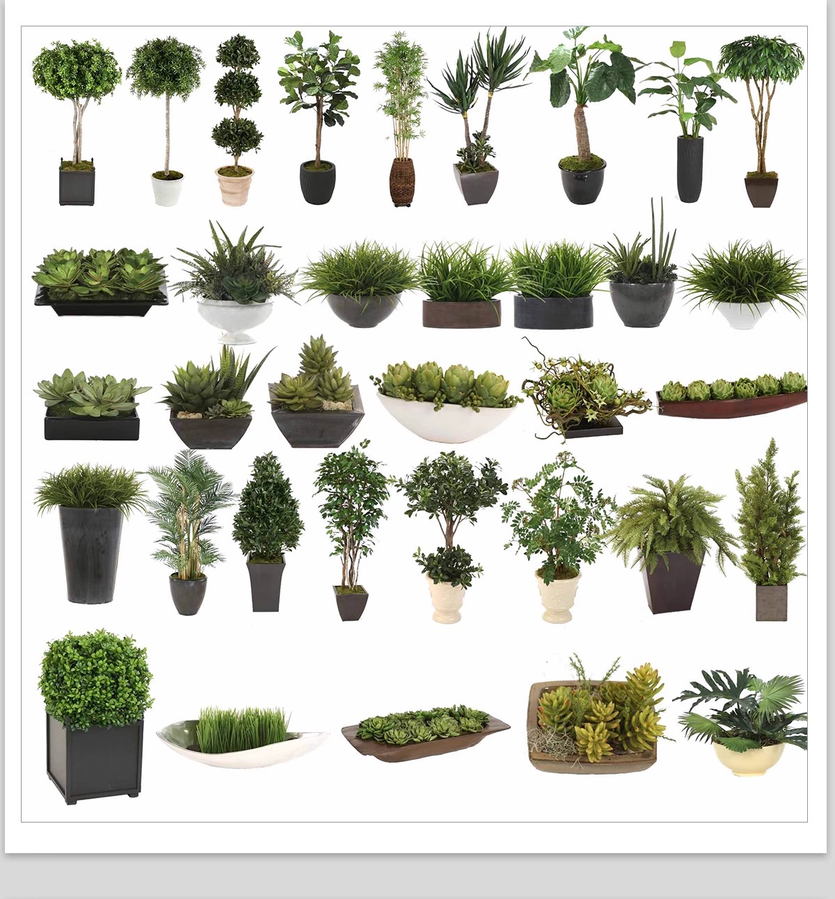 图片[23]-室内盆栽绿植花盆植物组合ps素材 现代简约客厅摆件免抠psd免抠图-大怪兽分享