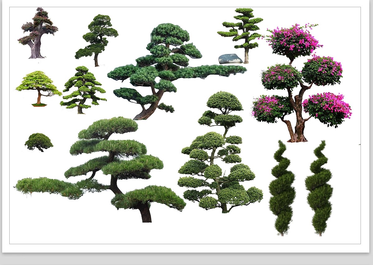 图片[23]-PS景观造型植物灌木球造型树迎客罗汉松桩景效果图png棒棒糖素材-大怪兽分享