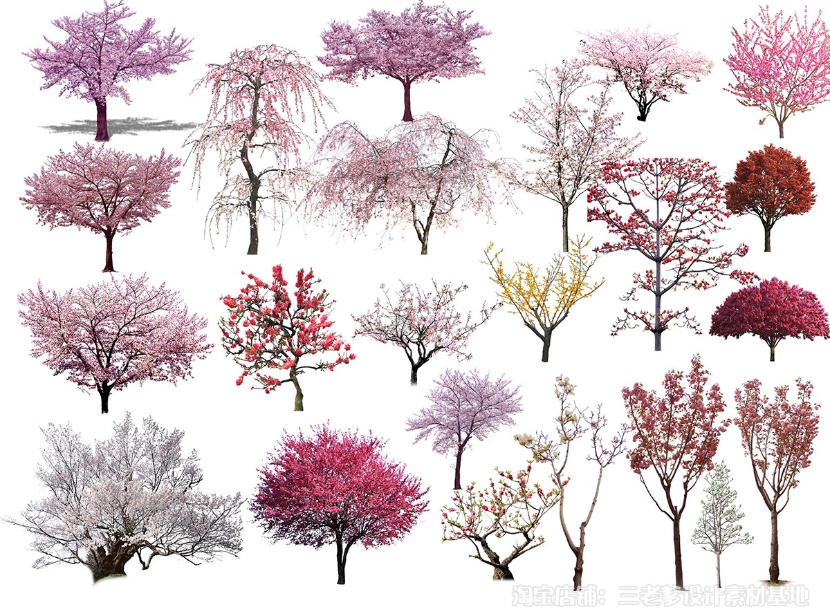 图片[23]-樱花树梅花树PS免抠 景观园林梅花桃花花瓣街道植物PSD效果图素材-大怪兽分享