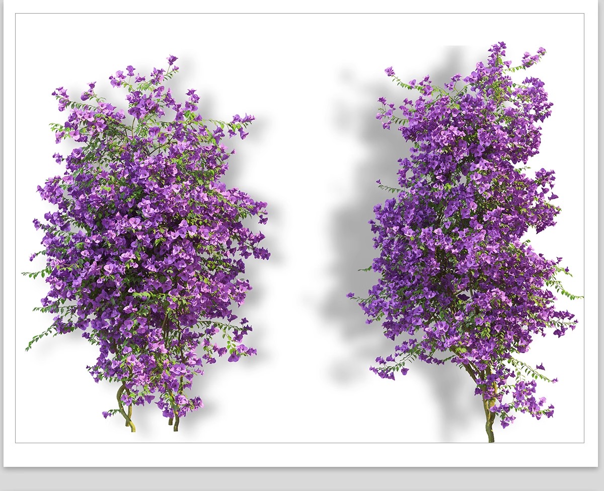 图片[23]-藤蔓爬藤植物爬墙攀援垂钓围墙月季花PS素材蔷薇廊架藤本免抠PSD-大怪兽分享