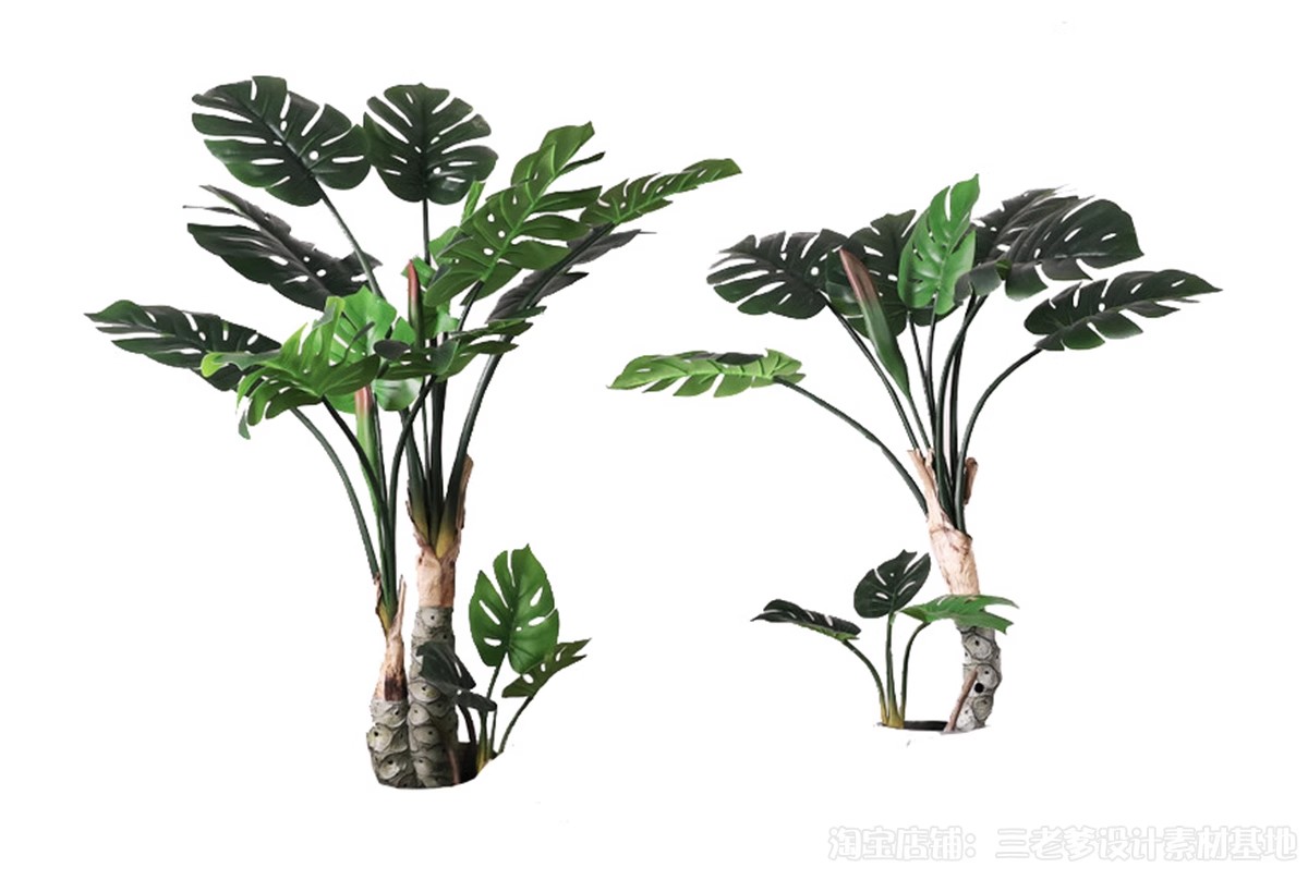 图片[23]-耐阴植物psd免扣园林景观蕨类苔藓矾根苔藓花镜地被ps素材效果图-大怪兽分享