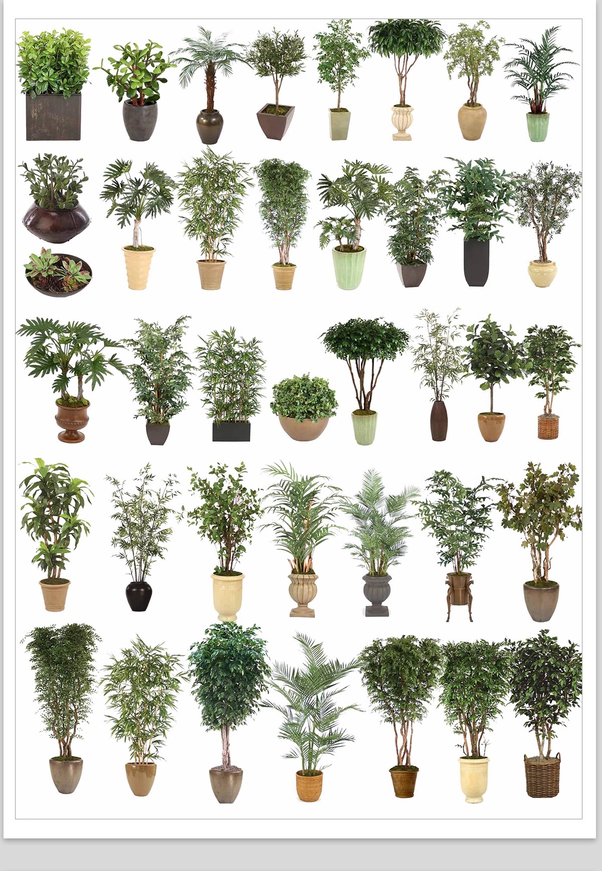 图片[24]-室内盆栽绿植花盆植物组合ps素材 现代简约客厅摆件免抠psd免抠图-大怪兽分享
