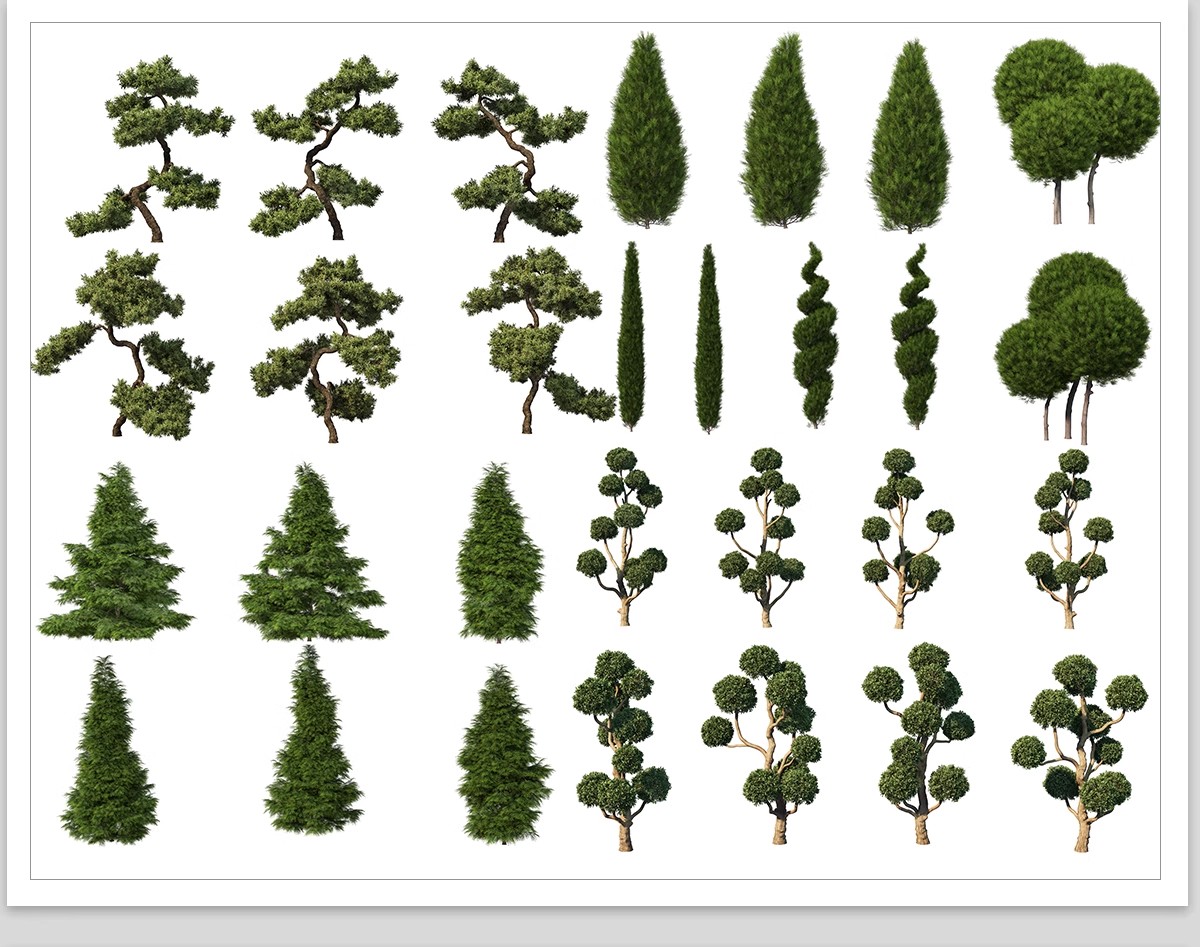 图片[24]-PS景观造型植物灌木球造型树迎客罗汉松桩景效果图png棒棒糖素材-大怪兽分享