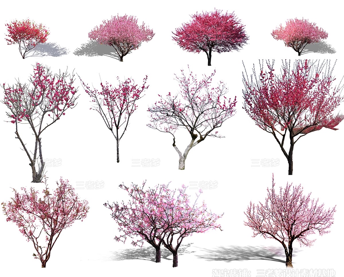 图片[24]-樱花树梅花树PS免抠 景观园林梅花桃花花瓣街道植物PSD效果图素材-大怪兽分享