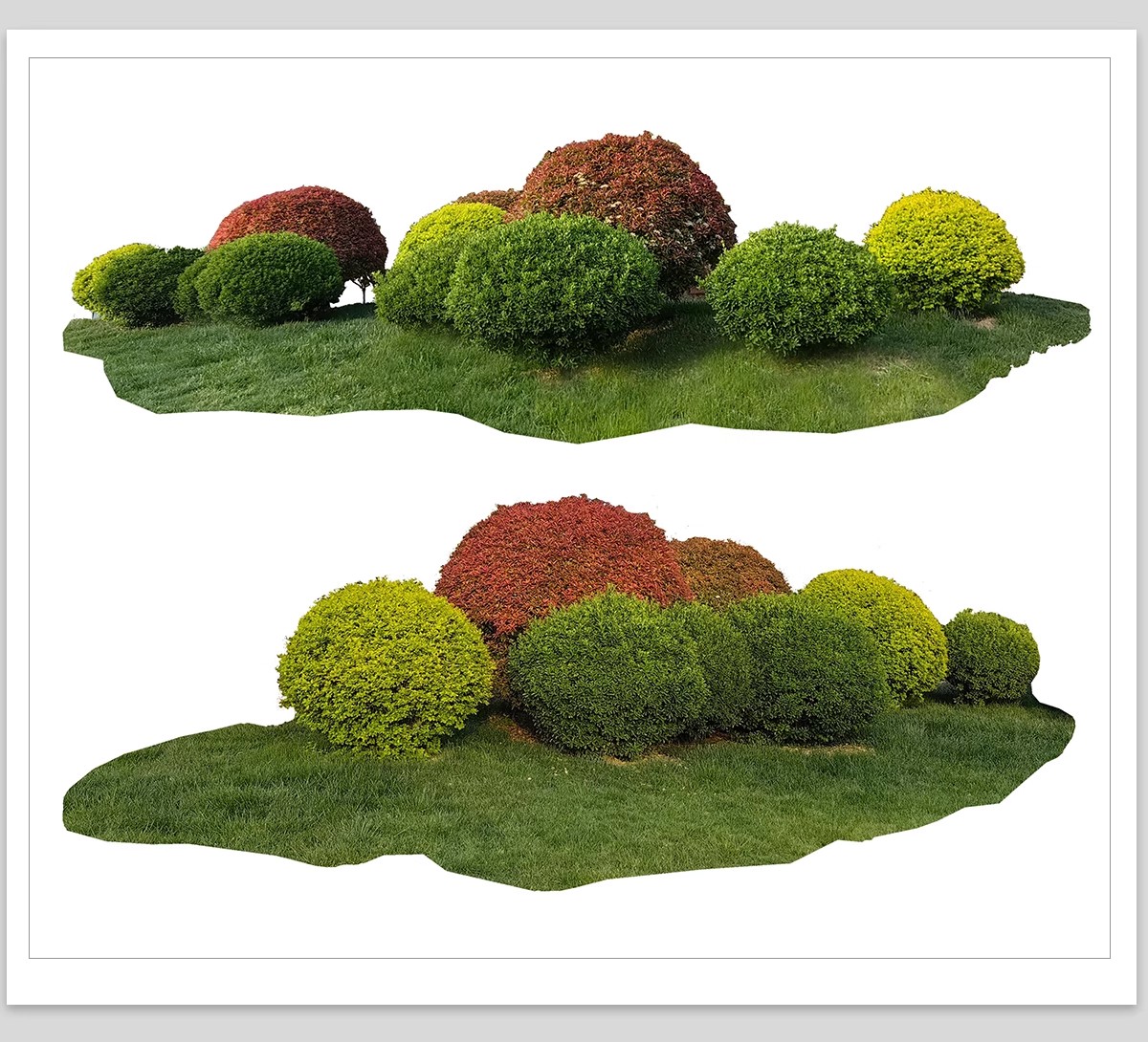 图片[25]-园林景观灌木球ps素材psd免抠效果图球形植物红檵木黄杨女贞石楠-大怪兽分享