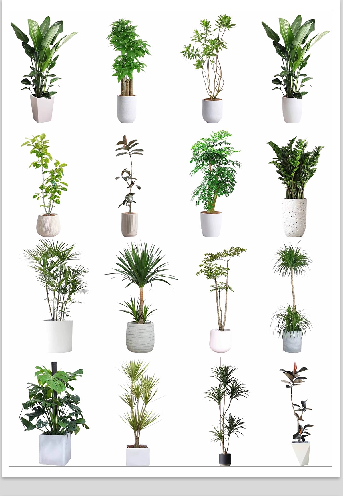 图片[25]-室内盆栽绿植花盆植物组合ps素材 现代简约客厅摆件免抠psd免抠图-大怪兽分享