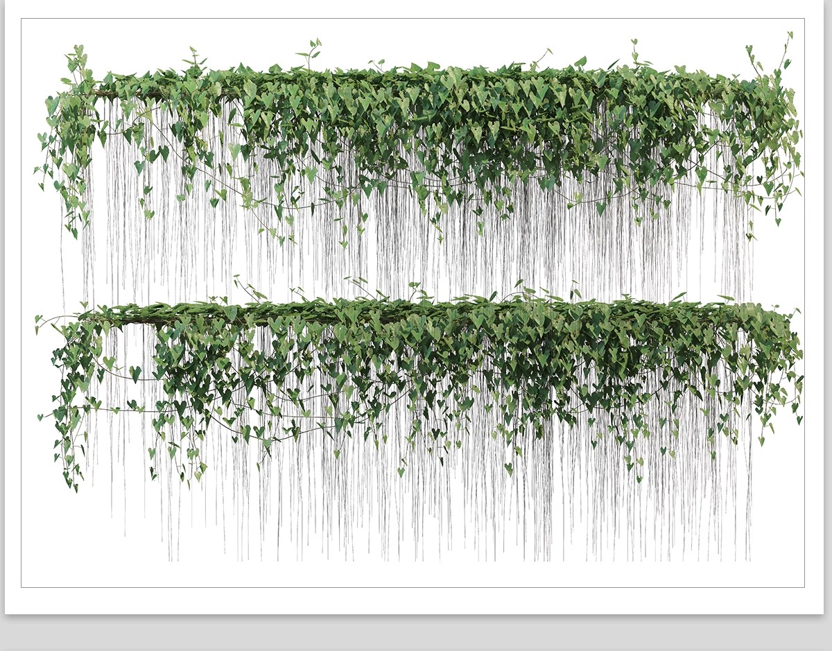 图片[25]-藤蔓爬藤植物爬墙攀援垂钓围墙月季花PS素材蔷薇廊架藤本免抠PSD-大怪兽分享