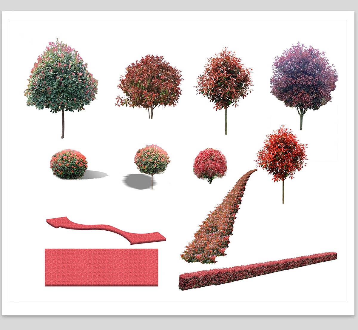 图片[26]-园林景观灌木球ps素材psd免抠效果图球形植物红檵木黄杨女贞石楠-大怪兽分享