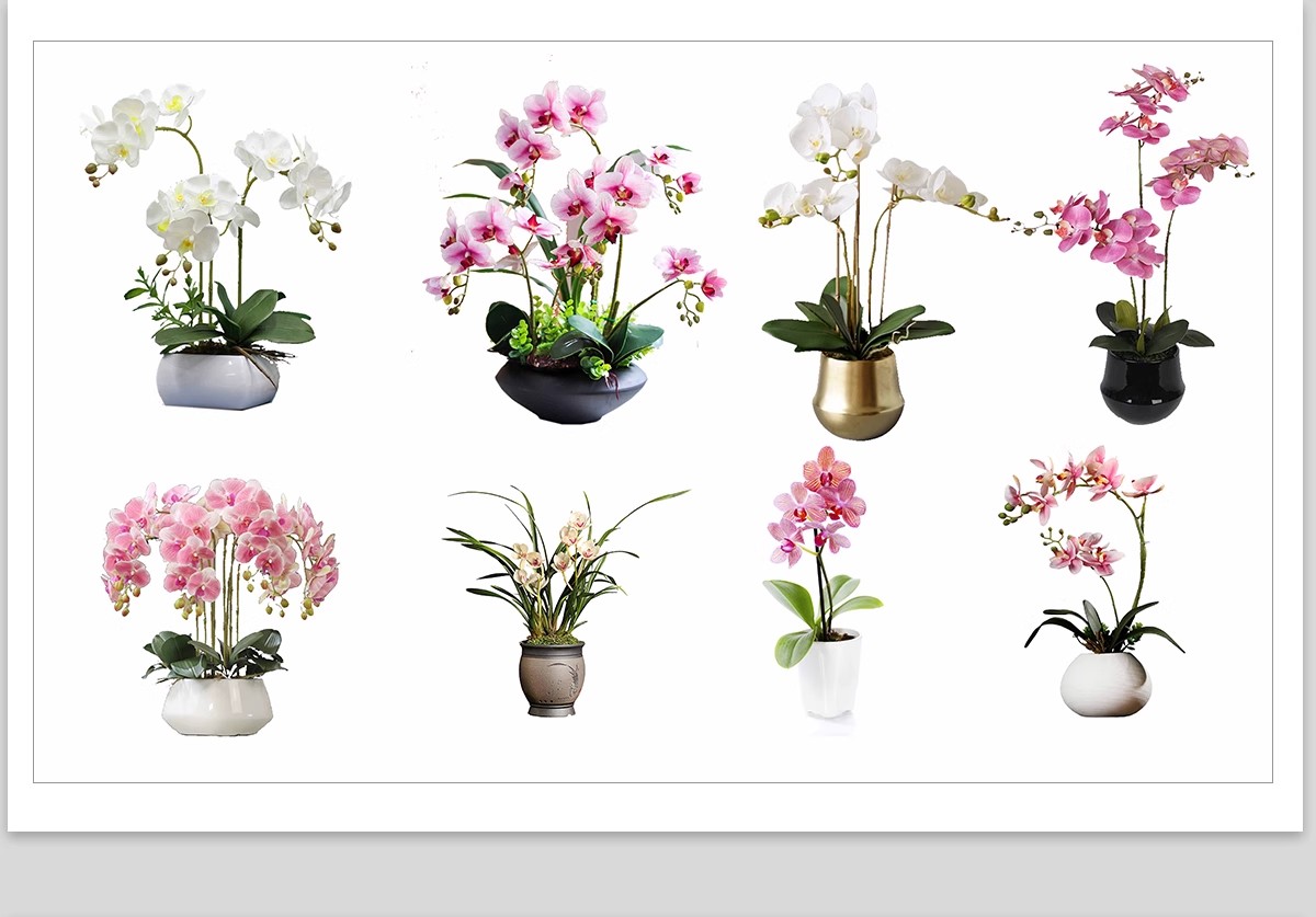 图片[26]-室内盆栽绿植花盆植物组合ps素材 现代简约客厅摆件免抠psd免抠图-大怪兽分享