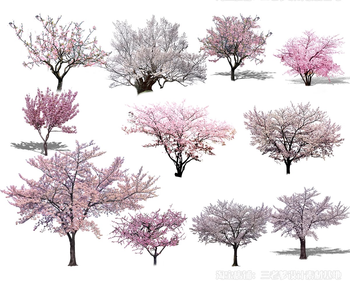 图片[26]-樱花树梅花树PS免抠 景观园林梅花桃花花瓣街道植物PSD效果图素材-大怪兽分享