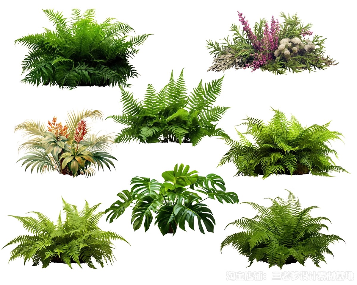图片[26]-耐阴植物psd免扣园林景观蕨类苔藓矾根苔藓花镜地被ps素材效果图-大怪兽分享