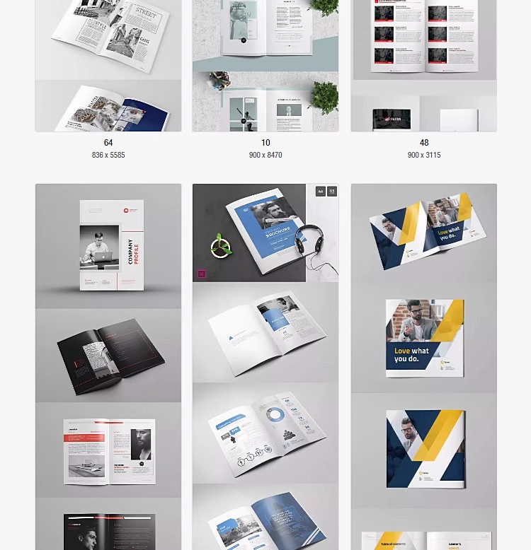 图片[13]-产品画册Indesign模板摄影画册排版j简约设计ID素材产品宣传-大怪兽分享