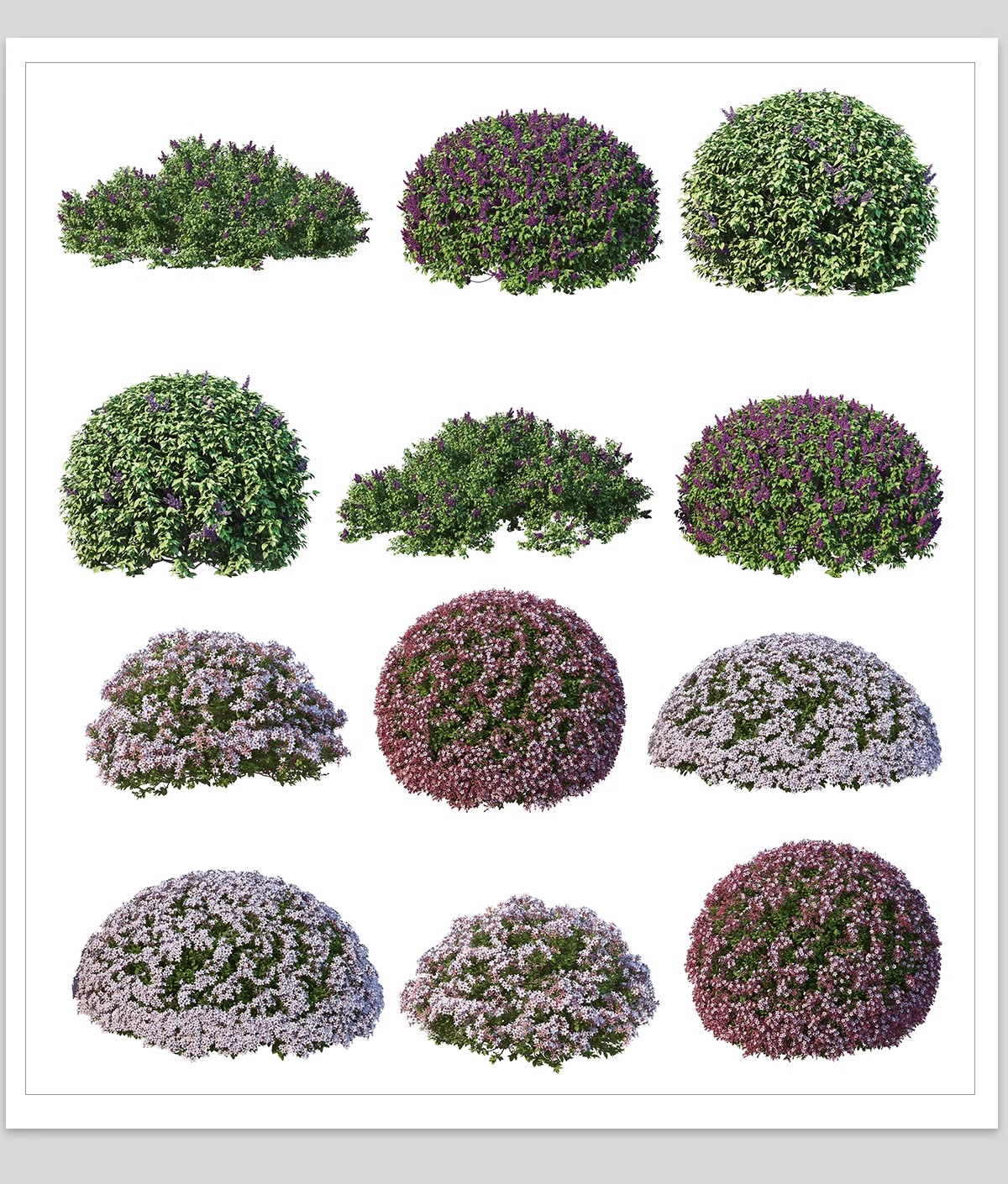 图片[27]-园林景观灌木球ps素材psd免抠效果图球形植物红檵木黄杨女贞石楠-大怪兽分享
