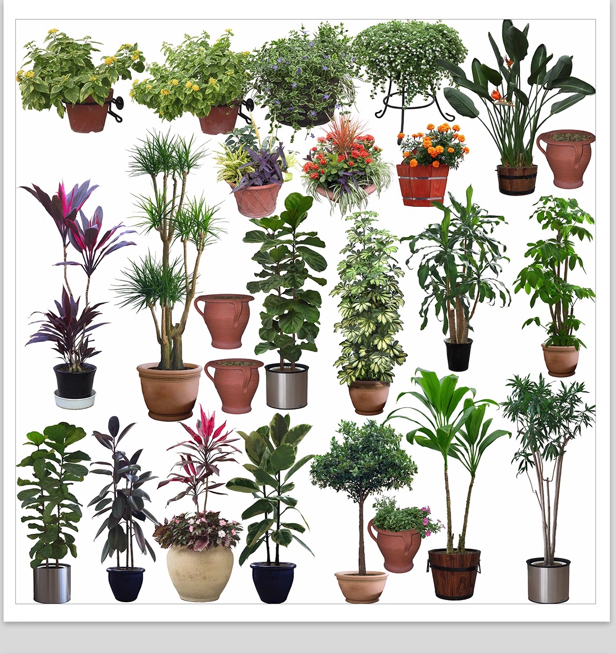 图片[27]-室内盆栽绿植花盆植物组合ps素材 现代简约客厅摆件免抠psd免抠图-大怪兽分享