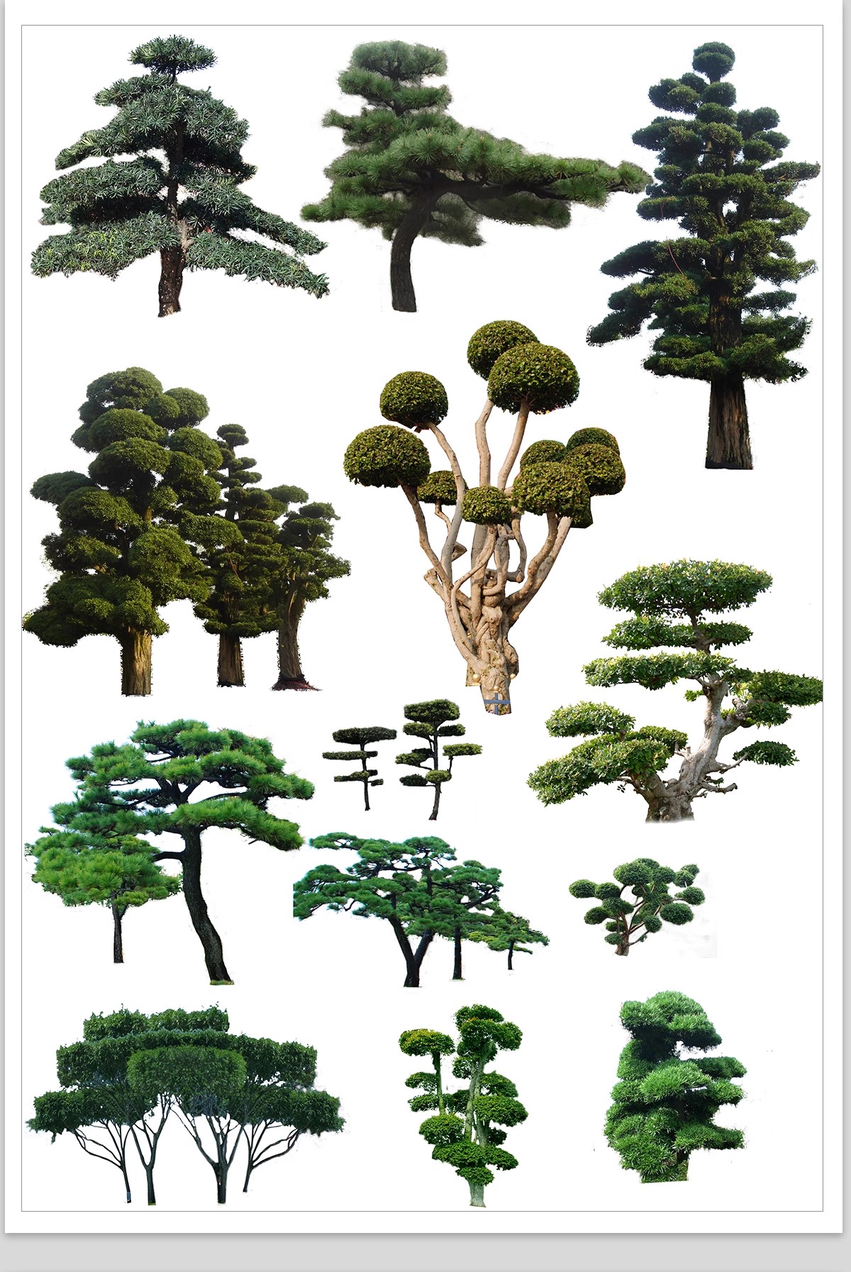 图片[27]-PS景观造型植物灌木球造型树迎客罗汉松桩景效果图png棒棒糖素材-大怪兽分享