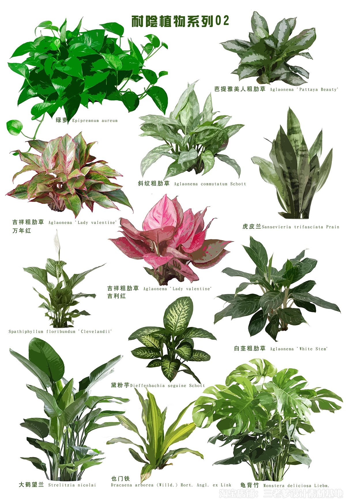 图片[27]-耐阴植物psd免扣园林景观蕨类苔藓矾根苔藓花镜地被ps素材效果图-大怪兽分享