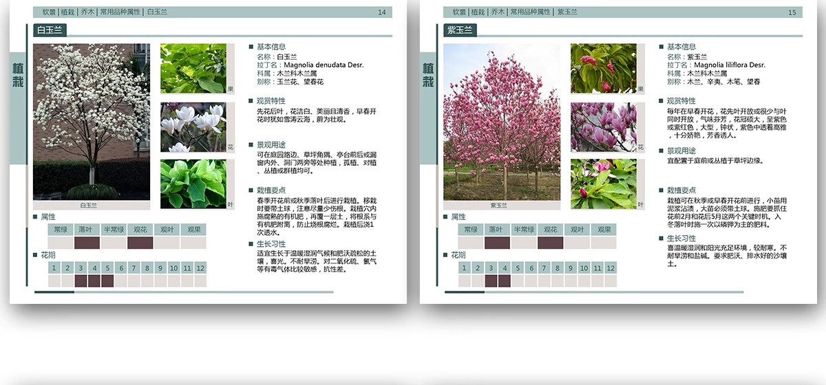 图片[27]-园林景观施工工艺做法图集参考道路广场铺装水景排水硬质植物种植-大怪兽分享