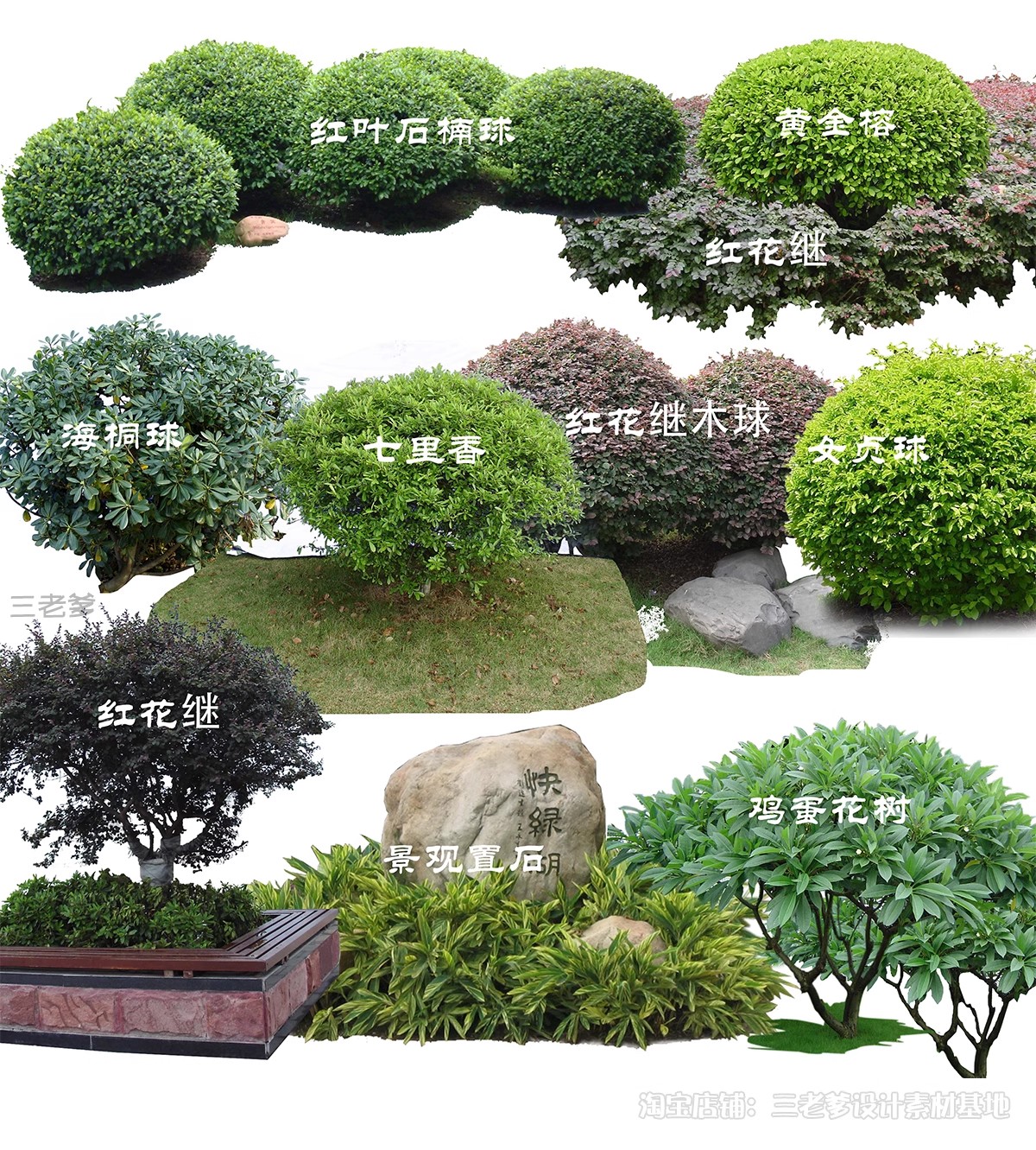 图片[28]-园林景观灌木球ps素材psd免抠效果图球形植物红檵木黄杨女贞石楠-大怪兽分享