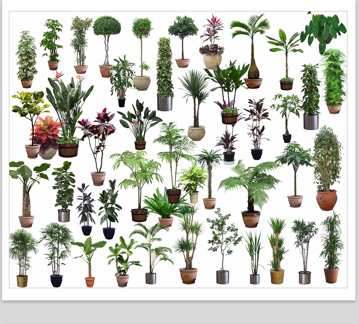 图片[28]-室内盆栽绿植花盆植物组合ps素材 现代简约客厅摆件免抠psd免抠图-大怪兽分享