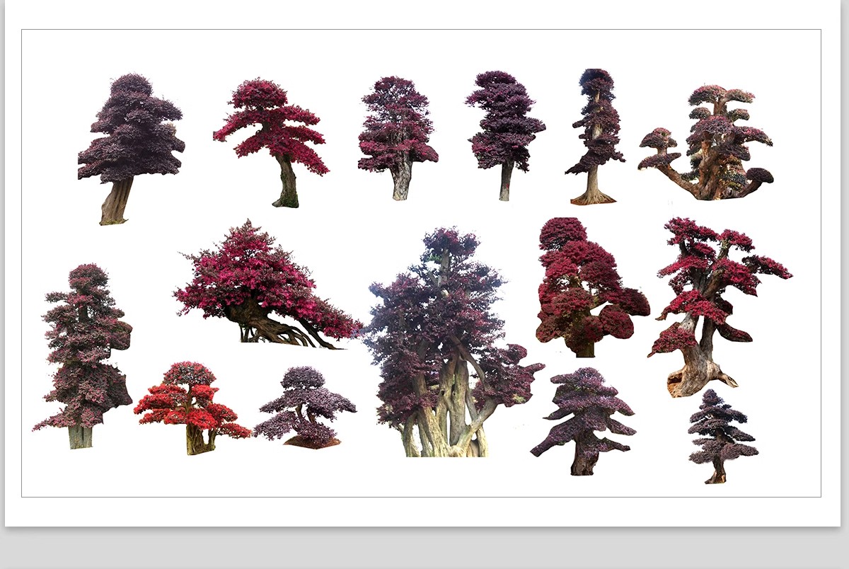 图片[28]-PS景观造型植物灌木球造型树迎客罗汉松桩景效果图png棒棒糖素材-大怪兽分享
