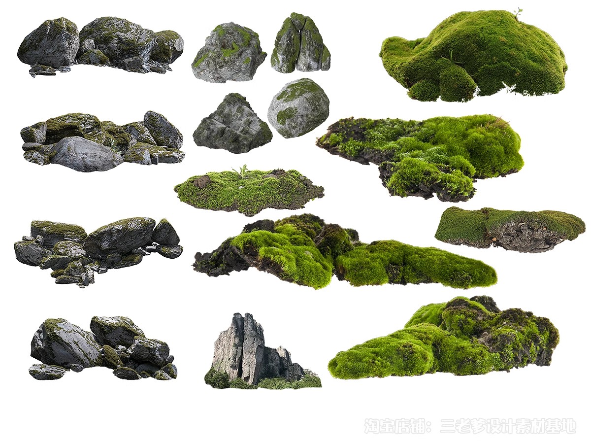 图片[28]-耐阴植物psd免扣园林景观蕨类苔藓矾根苔藓花镜地被ps素材效果图-大怪兽分享
