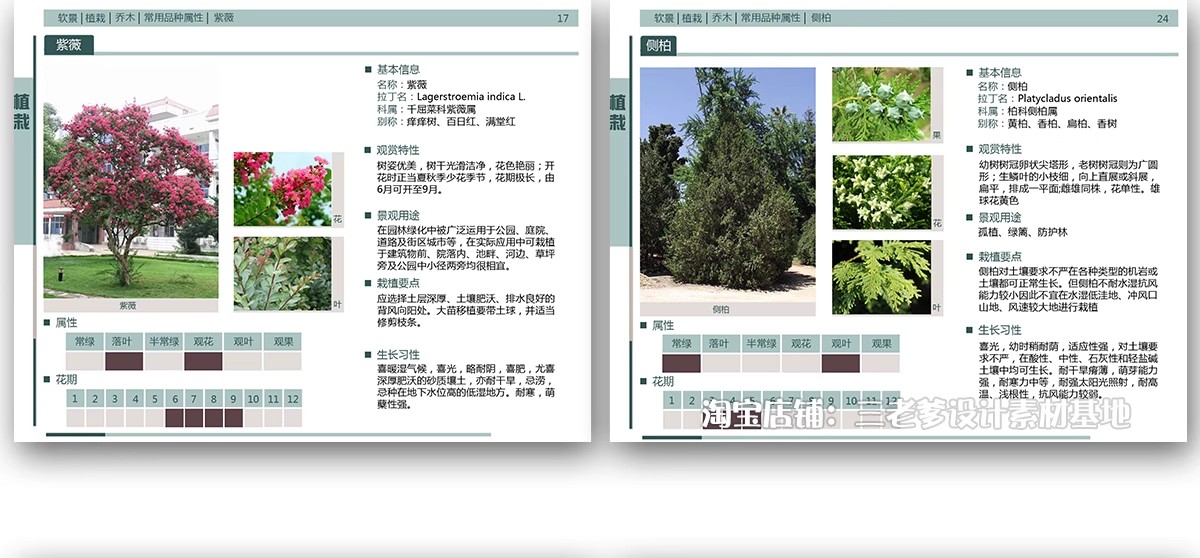 图片[28]-园林景观施工工艺做法图集参考道路广场铺装水景排水硬质植物种植-大怪兽分享