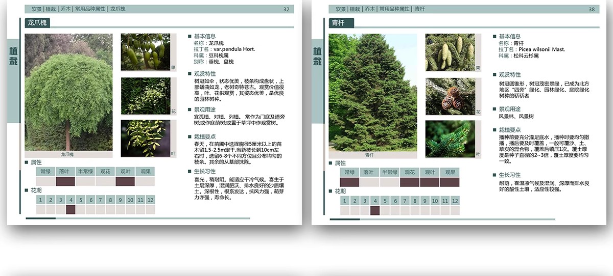 图片[29]-园林景观施工工艺做法图集参考道路广场铺装水景排水硬质植物种植-大怪兽分享